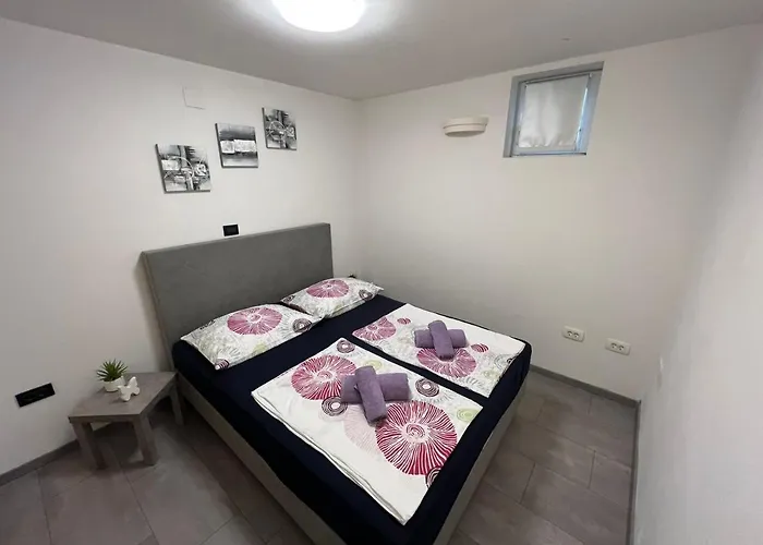Pako I Ivano נובי ווינודולסקי